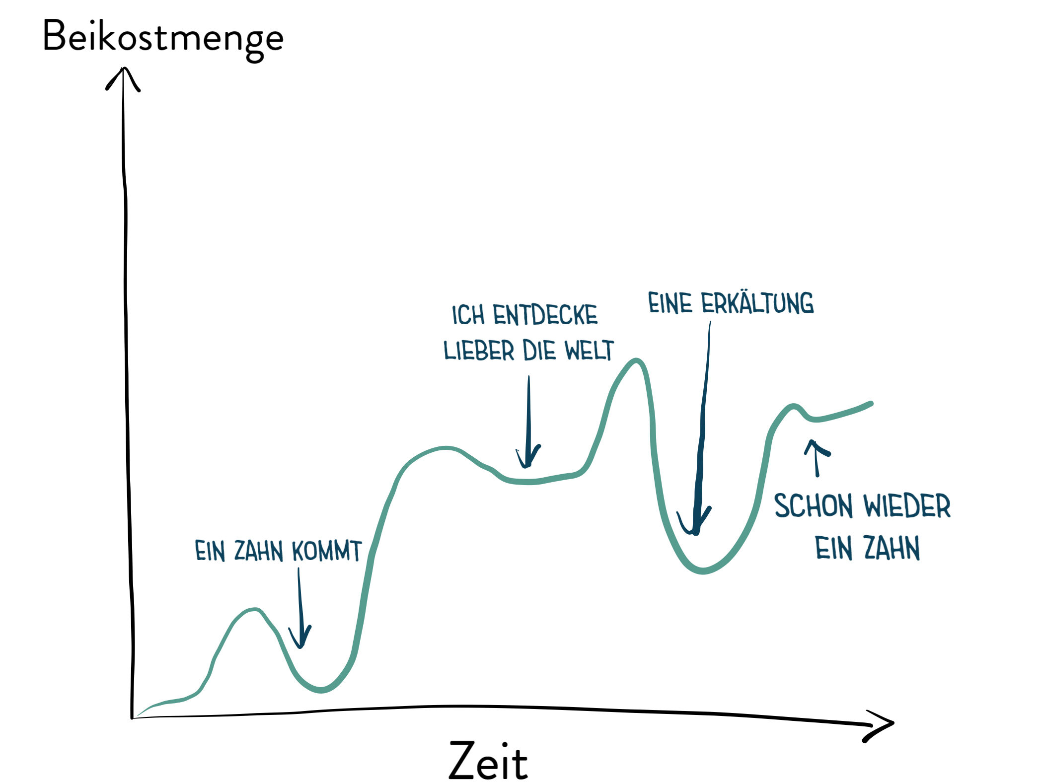 Die Graphik zeigt anhand eines imaginären Graphen, dass die Beikosteinführung nicht linear ist, sondern die verzehrte Beikostmenge im Verlauf der Zeit (stark) variiert.